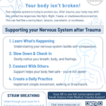 Supporting Your Nervous System After Trauma - Resource Conversation