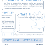 Understanding Your Window of Tolerance After Trauma